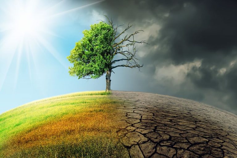 Глобальне потепління: причини, наслідки та шляхи вирішення